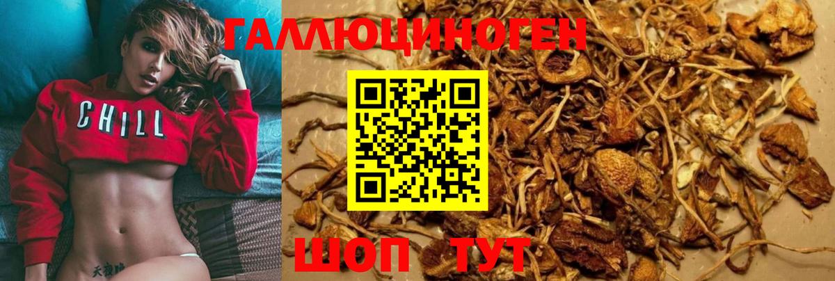 Галлюциногенные грибы мицелий Холмск